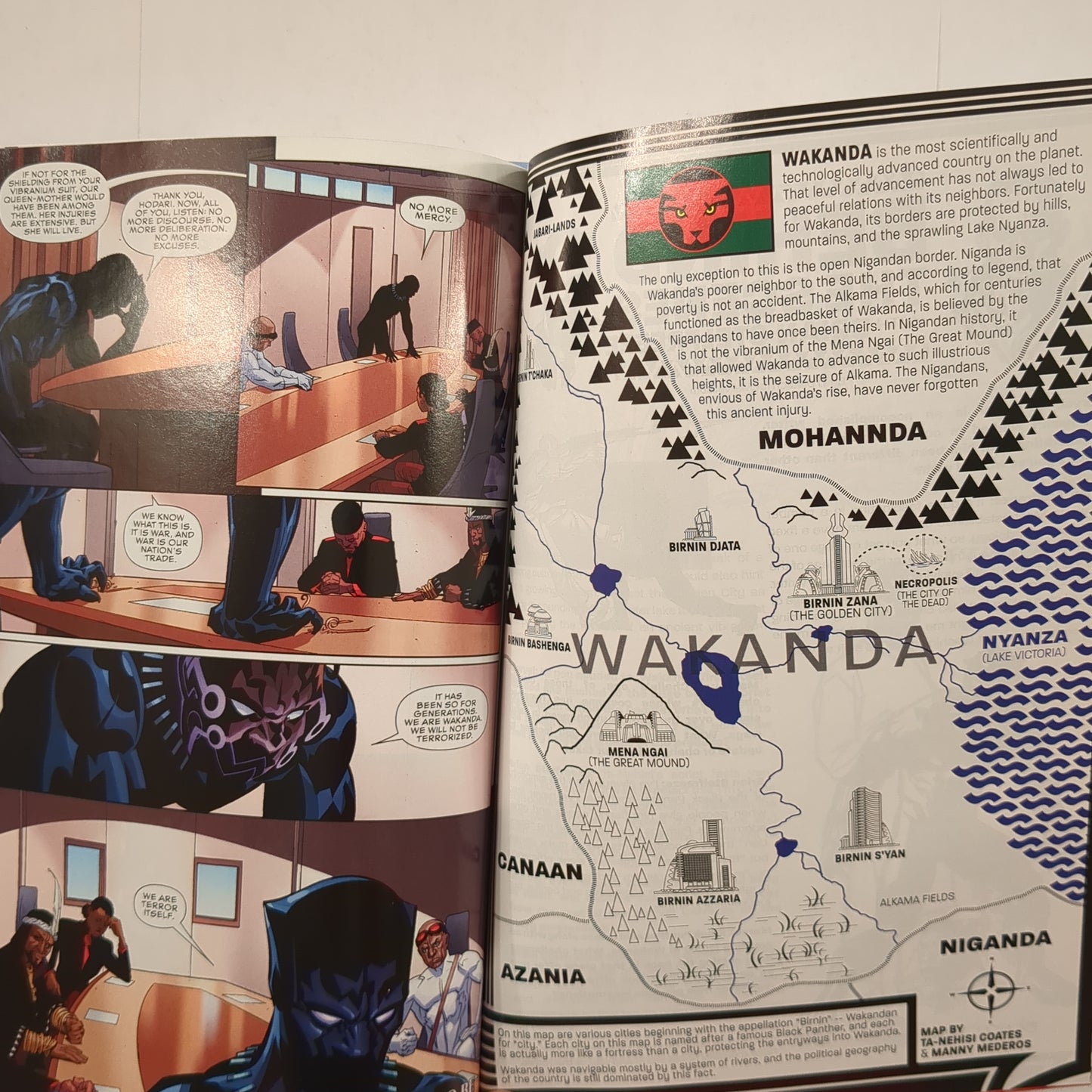 Pantera Negra: Una Nación Bajo Nuestros Pies (Libro 1, Segunda Impresión 2018)