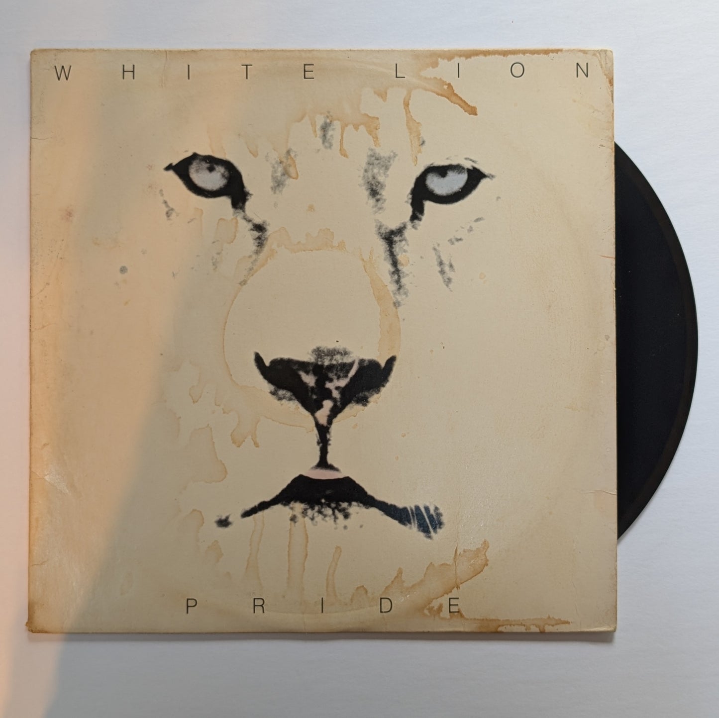 White Loin - 'Pride'