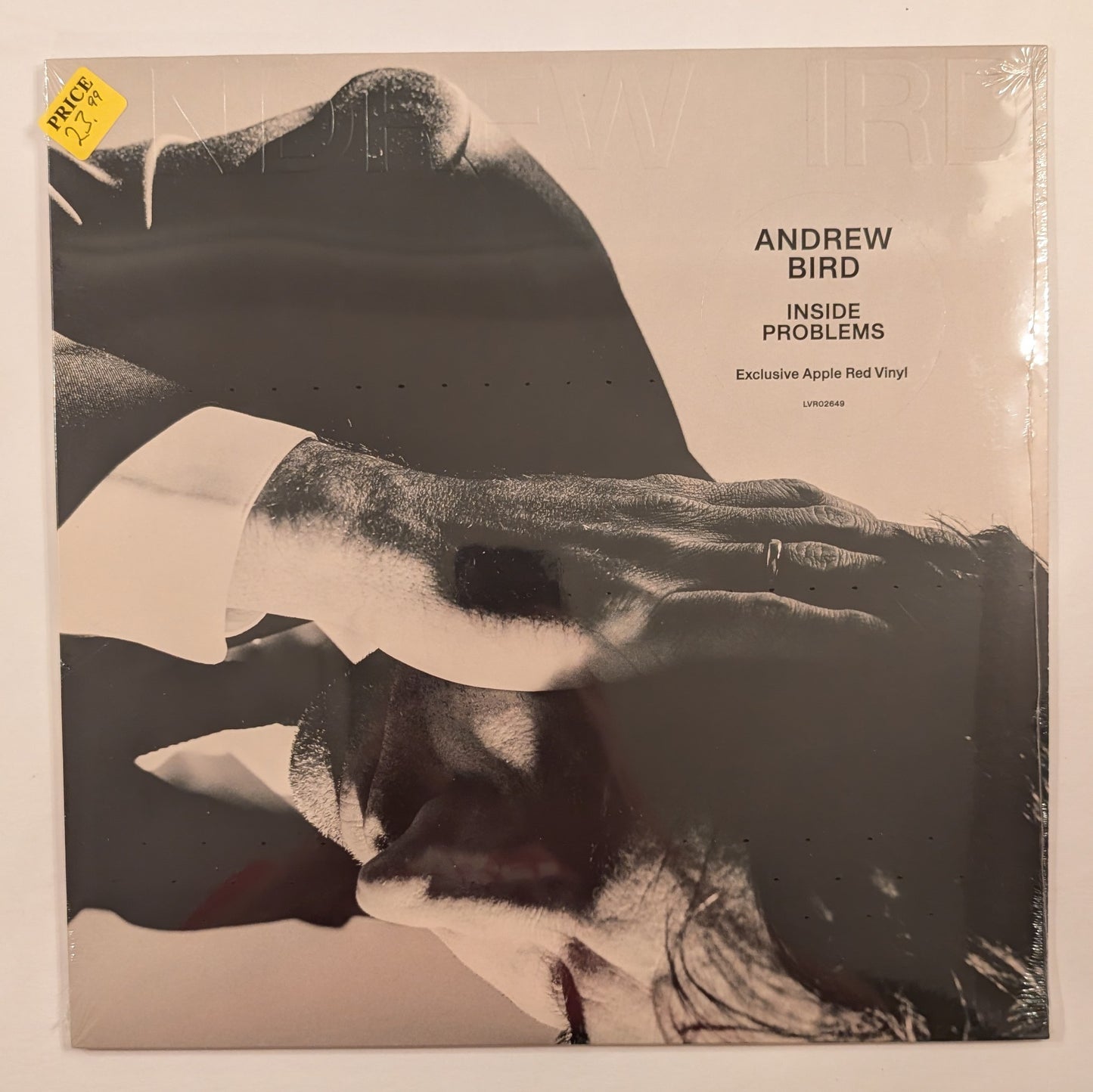 Andrew Bird - 'Inside Problems'