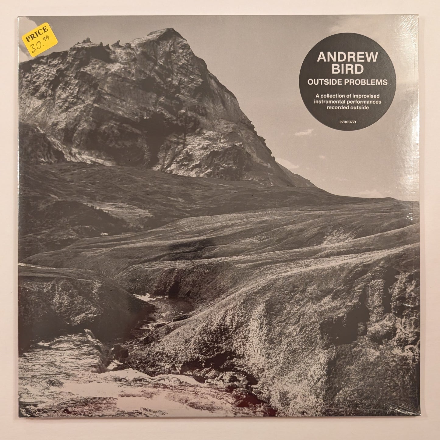 Andrew Bird - 'Outside Problems'