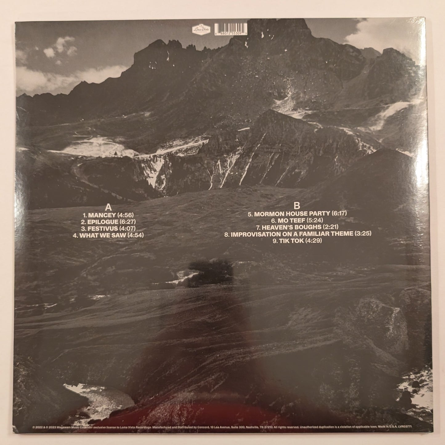 Andrew Bird - 'Outside Problems'