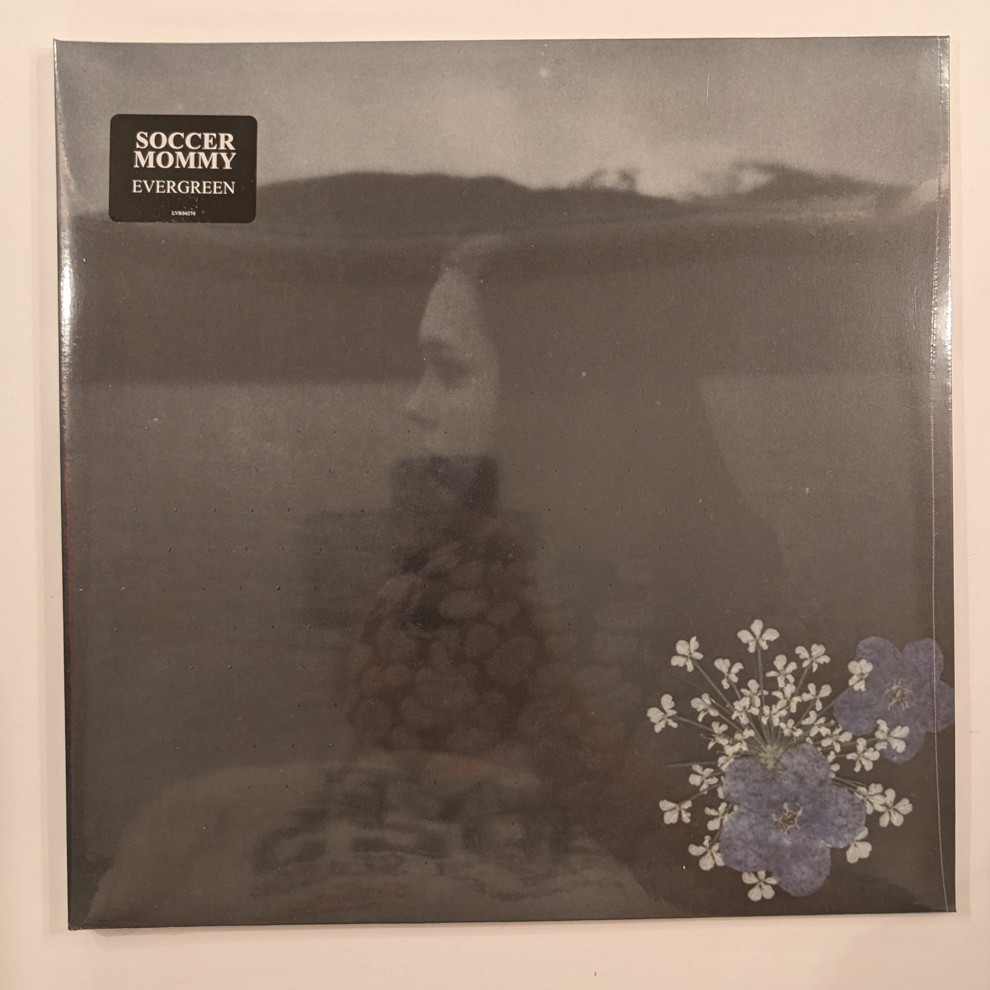 Soccer Mommy - 'Evergreen'