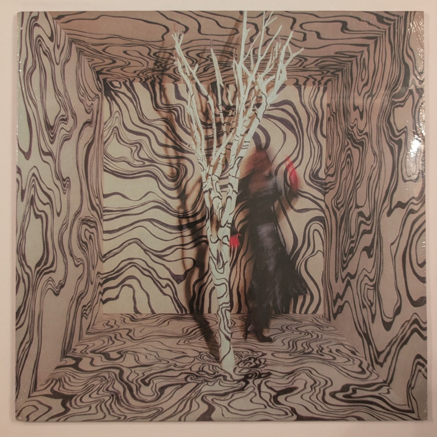 Madison Cunningham - 'Revealer'