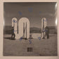 Local Natives - 'But I'll Wait For You'